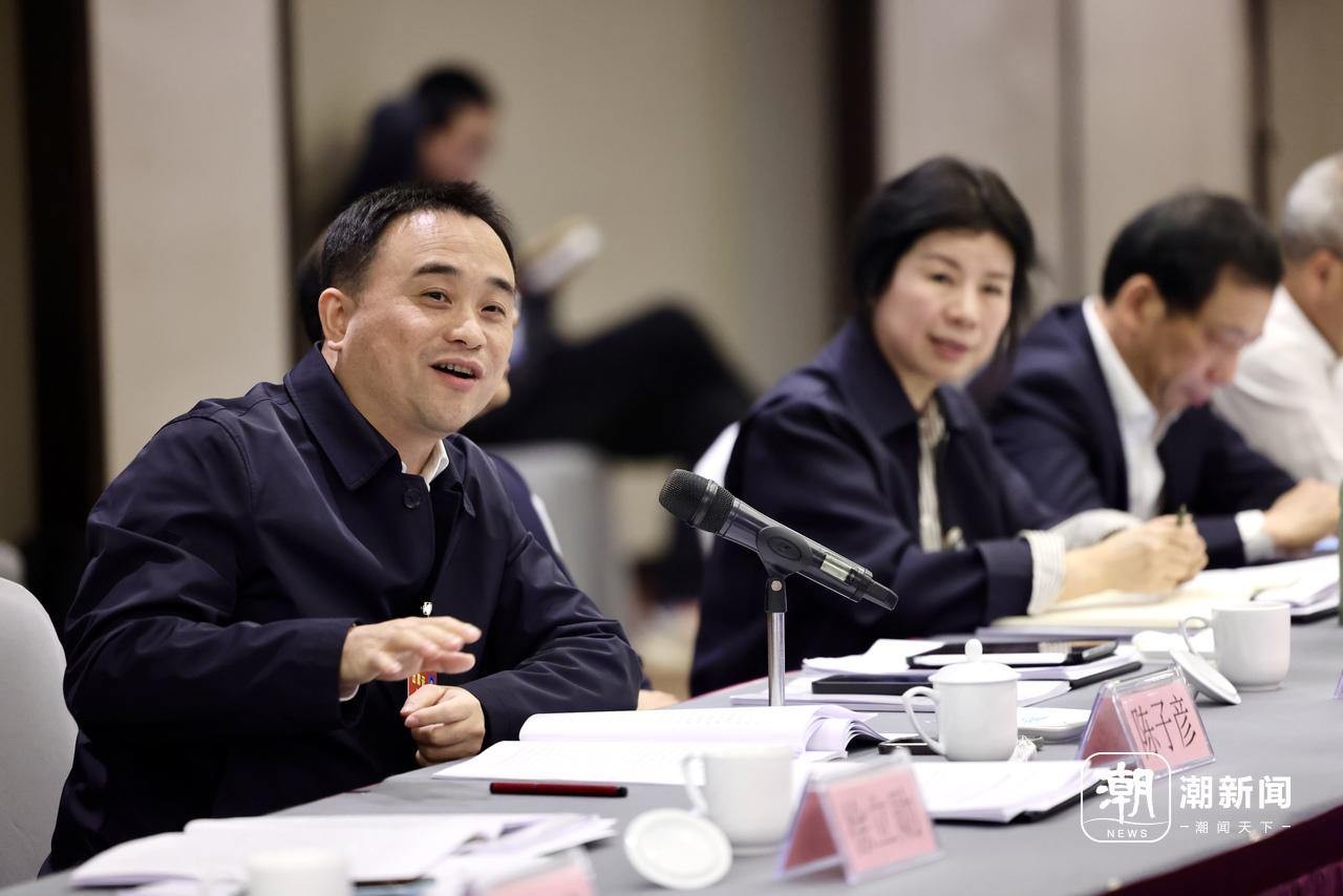 省政協委員分組討論政府工作報告